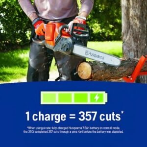 Power Axe 350i Cordless Electric Chainsaw, 18 Inch Chainsaw