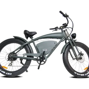 1000W 26 Inch Electric Bicycle 48V 20AH Electric Bike Fat Tire